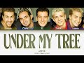 *NSYNC - Under My Tree (Color Coded Lyrics)