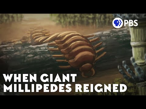 When Giant Millipedes Reigned