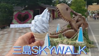 三島スカイウォーク 紫陽花の小径　６月　アジサイの散策道