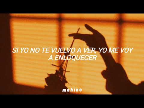 La Secta - La Locura Automática (Letra)