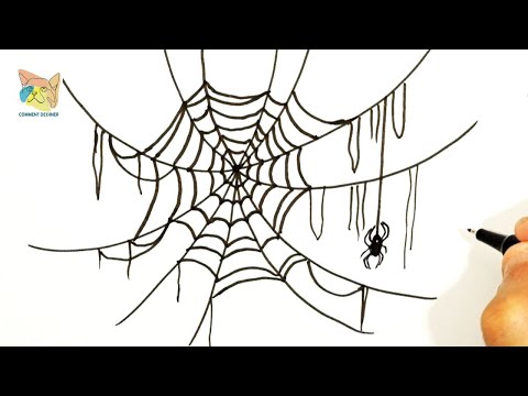 comment dessiner une toile d araignée pour halloween