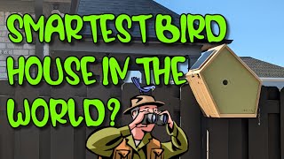 Birddy Smart Bird House: A Breakthrough in Avian Observation REVIEW