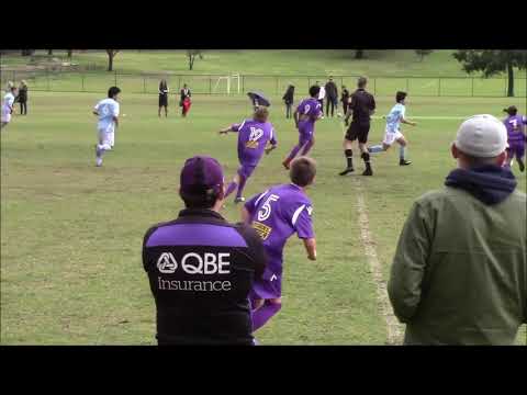 Raul Pereira Highlights 2018/2019