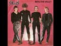 The Skids Into The Valley