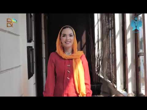 Putri Kebudayaan  Nusantara DKI Jakarta 2021