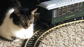 🔴 PIKO 38628 | Santa Fe “Ninnescah River” Passenger Car | G Scale Spotlight & Run-Bys | ATSF
