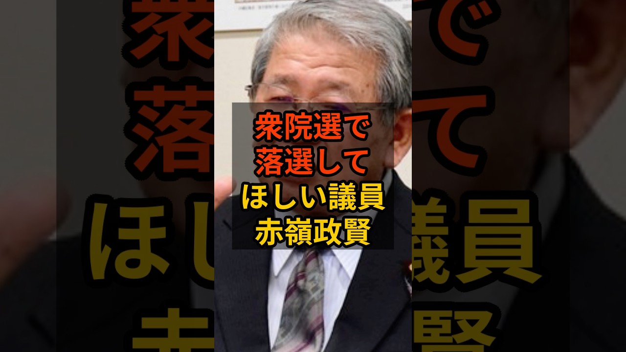 【赤嶺政賢】個人的に次の衆院選で落選して欲しい議員(再) #政治 #自民党    #shorts   #高市早苗    VOICE:VOX 青山龍星 VOICE:VOX Nome