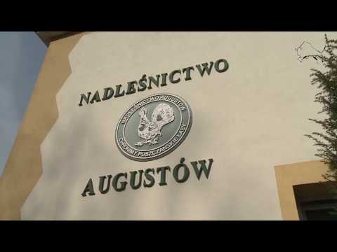Oficjalne otwarcie zagrody w Puszczy Augustowskiej