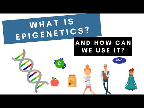 What is Epigenetics?: Explained Simply with Cartoons