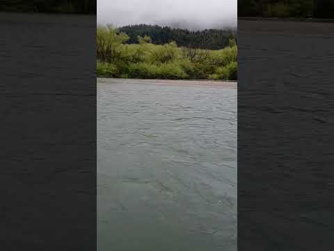 La MARAVILLA de un DIA FEO en el RIO AZUL #golondrinas #primavera 2023 #argentina #short #relaxing