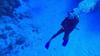 Cozumel 2023, Day 2, Dive 1, Part 2