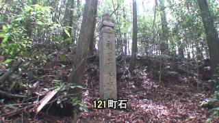 preview picture of video '高野山町石道　慈尊院～根本大塔　町石180基を巡る'