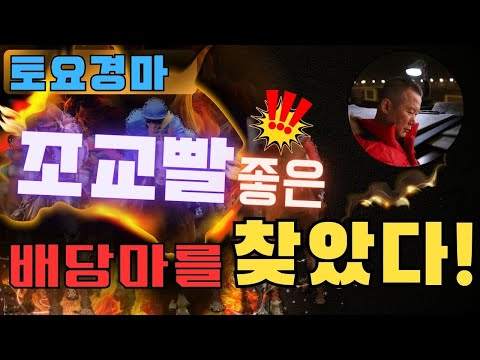 9월 13일(土) -강백호-토요경마 조교빨 좋은 배당마를 찾았다.