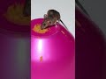 Rat / Mouse Sounds for Cats! Video for cats to watch!