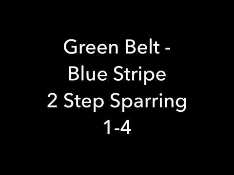 2 Step Sparring 1-4
