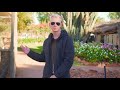 Curtin Springs Station Swedish Review From Helmer By Grasshopper Travel