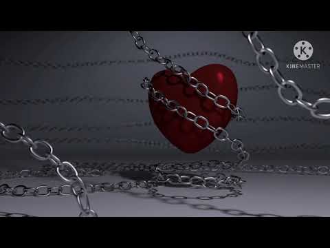 Reykl x Cash (Дили гарм)архив