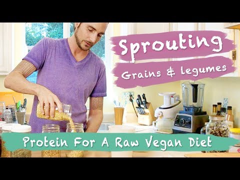 download lagu mp3 mp4 Raw Lentils Nutrition, download lagu Raw Lentils Nutrition gratis, unduh video klip Raw Lentils Nutrition