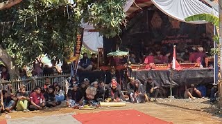 Download lagu š“Singo barong MOJOPAHIT MANGGOLO JATI Di Donosariā¢Patebon mp3 Download lagu š“Singo barong MOJOPAHIT MANGGOLO JATI Di Donosariā¢Patebon mp3