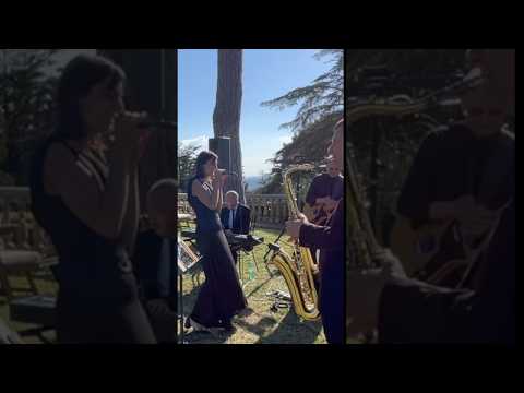 YouTube preview