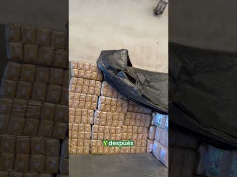 ¡Visitamos Misiones! 🌿 El origen de la Yerba Dulce Beso.