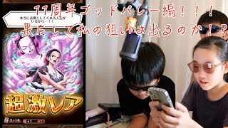トレクル11周年第３弾！！ミオさんの大好きなキャラには出会えたのか？パート２