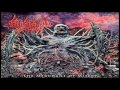 Headwound The Pony - Anthropogenic Debris ...