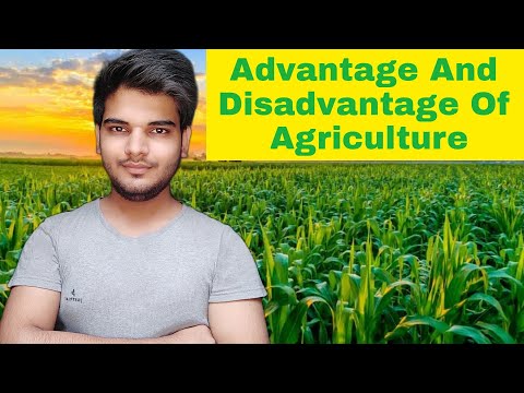Agriculture kya hai what is Agriculture agriculture kise kahte hain agriculture k bare me