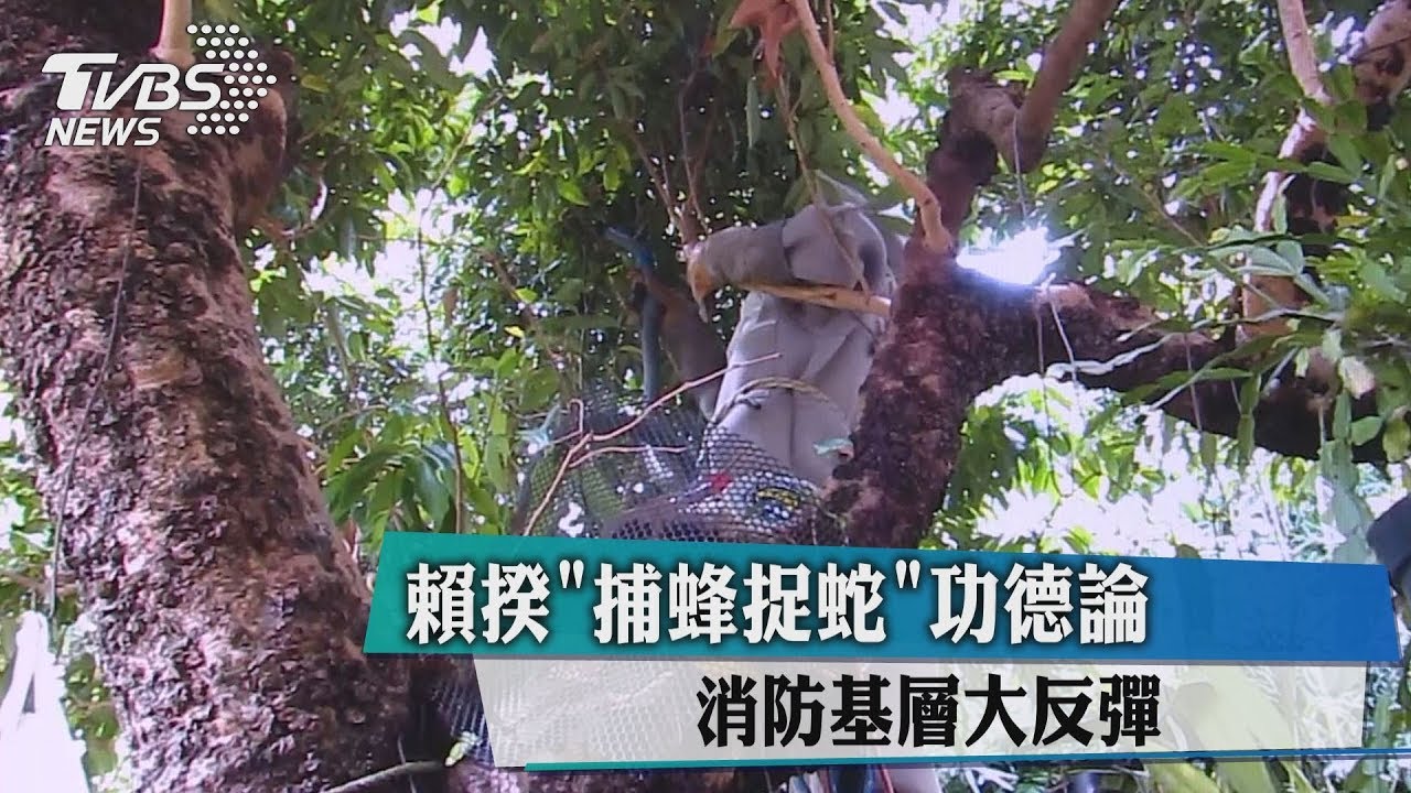 賴揆「捕蜂捉蛇」功德論　消防基層大反彈