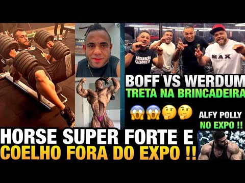 HORSE ESTÁ MUITO FORTE - BOFF E WERDUM ADMITEM BRINCADEIRA - COELHO FORA DO EXPO + ALFY E FABRICIO
