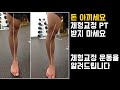 체형교정 PT 받지말고 집에서 하세요 돈 아끼세요