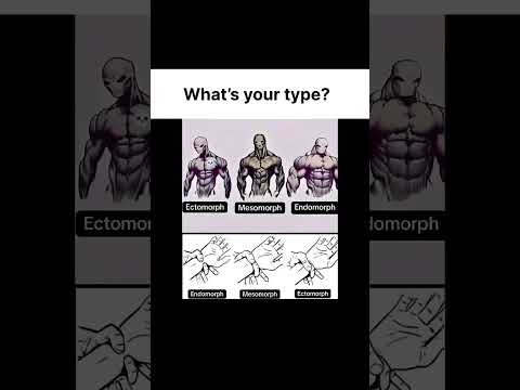 Ectomorph vs Endomorph vs Mesomorph Explained in 30 Seconds