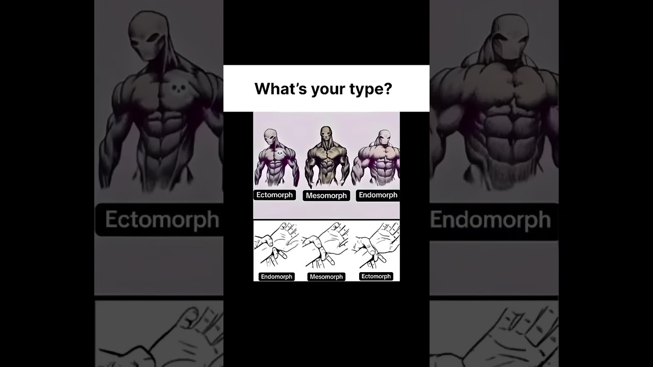 Ectomorph vs Endomorph vs Mesomorph Explained in 30 Seconds