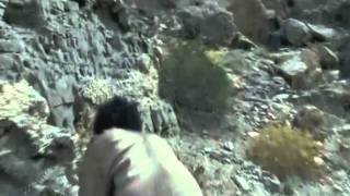 Prodigal Son-Music-LEELAND -  Falling for you