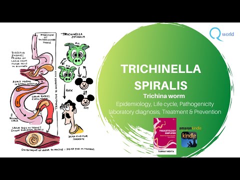 trichinosis hogyan kell kezelni