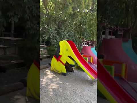 🇦🇷Naturaleza Viva *9 #diadecampo #buenosaires #florenciovarela #sol #short #argentina