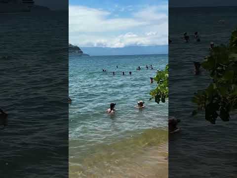🇧🇷 Amazing Beach, Ilhabela, Brazil #shorts #feedshorts #beach