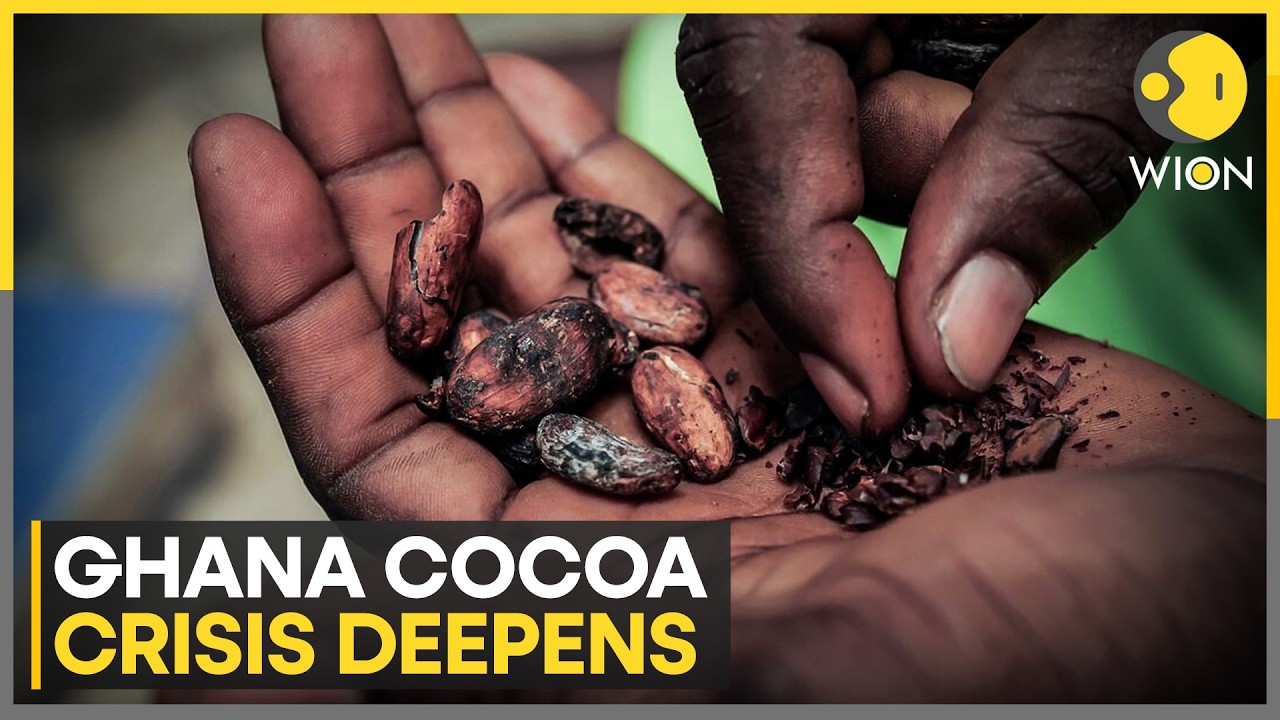 Ghana Cocoa Crisis: Farmers Unpaid Months After Delivering Cocoa Beans | WION