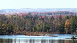 preview picture of video 'Great Getaways: Rifle River Recreation Area - West Branch, MI'