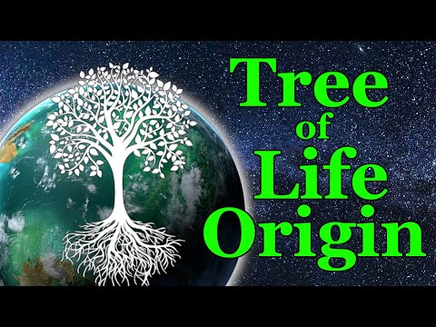 Stellaris Federations Tree of Life Origin Let's Play Ep1- We are One with the Tree