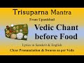 Vedic Chant Before Food Trisuparna Mantra Upanishad Sri K Suresh