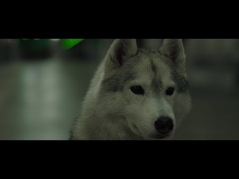 Flavia Lazzarini feat. CRY.ING - Stay or don’t stay (VIDEO)