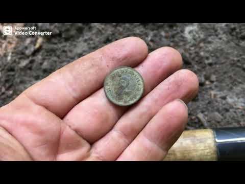 115# Co w lesie piszczy? / Wielkopolskie Wykopki