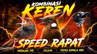 Download lagu MATERI SPEED RAPAT SUSUN TIGA PRENJAK TIR PANJANG CILILIN TEPUS KEPALA ABU SUARA JERNIH mp3 Download lagu MATERI SPEED RAPAT SUSUN TIGA PRENJAK TIR PANJANG CILILIN TEPUS KEPALA ABU SUARA JERNIH mp3