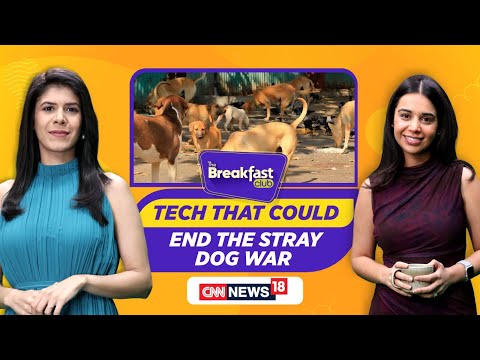 Tech Innovation: Aseem Gupta's Microchip Solution for Stray Dog Management #thebreakfastclub
