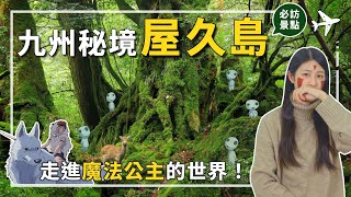 屋久島必去景點，造訪魔法公主的世界，九州的迷人秘境，遠離喧囂的自然聖境，好山好水好景致！#屋久島 #魔法公主 #鹿兒島 屋久島必去景點