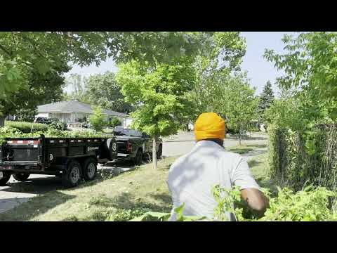 scarborough’s toughest yard cleanup | part two – clearing the wild bushes