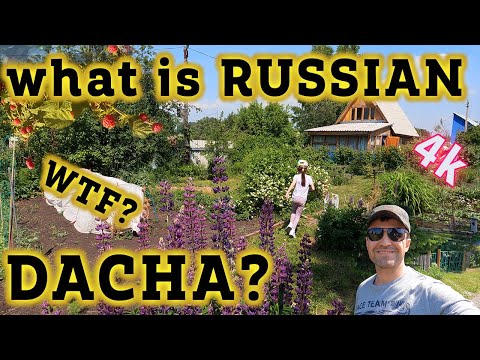 What is Russian Dacha?! Real Russia is deferent! Life in a Russian Dacha in country house &plantings