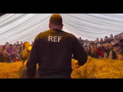 Mathew Belfield vs Kristen Dodds bkb