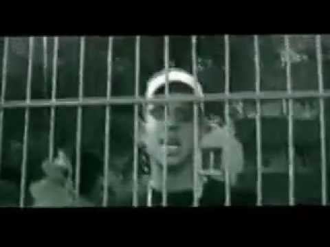 King Orgasmus, Godsilla Video